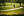 Mann joggt im Park und erlebt ein Runners High