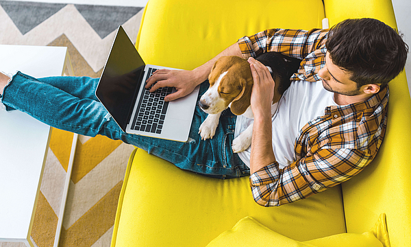 Ein Mann sitzt auf einem gelbe Sofa. Auf seinem Schoß liegt ein Hund. Er hat einen Laptop und surft im Internet.