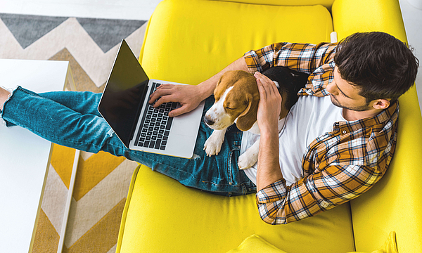 Ein Mann sitzt auf einem gelbe Sofa. Auf seinem Schoß liegt ein Hund. Er hat einen Laptop und surft im Internet.