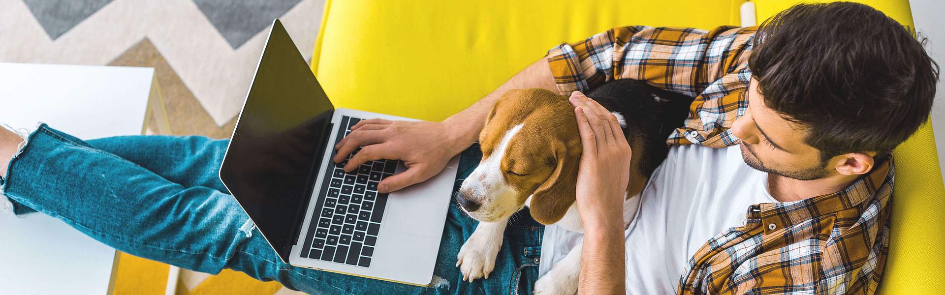 Ein Mann sitzt auf einem gelbe Sofa. Auf seinem Schoß liegt ein Hund. Er hat einen Laptop und surft im Internet.